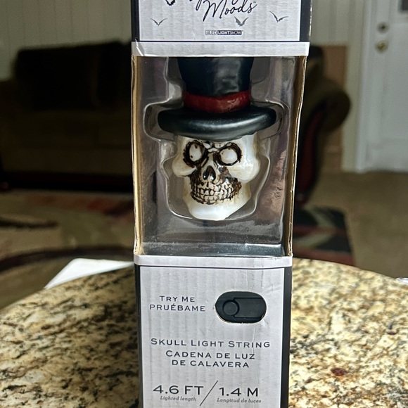 Gemmy • 2022 • Spooky Moods • LED Lightshow • Skeleton Light String • New W/ Box - Picture 4 of 10